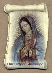 Our Lady of Guadalupe Magnet